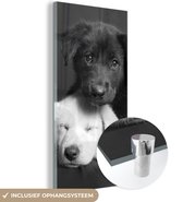 MuchoWow - Glasschilderij - Foto op glas - Muurdecoratie - Acrylglas - Dieren - Honden - Puppy - Zwart - Wit - Woonkamer - 60x120 cm - Wanddecoratie dieren - Woondecoratie - Schilderij glas
