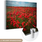 MuchoWow® Peinture sur verre 30x20 cm - Peinture sur verre acrylique - Une prairie pleine de coquelicots - Photo sur verre - Peintures
