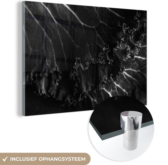 MuchoWow® Glasschilderij 30x20 cm - Schilderij acrylglas - Kool bladeren - zwart wit - Foto op glas - Schilderijen