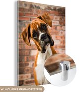 Boxer regarde en diagonale dans l'appareil photo Plexiglas 60x80 cm - Tirage photo sur Glas (décoration murale en plexiglas)