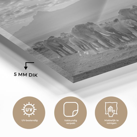 MuchoWow® Glasschilderij 120x80 cm - Schilderij acrylglas - Trekkende olifanten - zwart wit - Foto op glas - Schilderijen