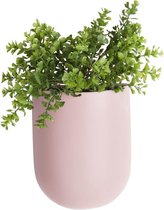 Pt Wand bloempot Oval - Light Pink