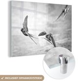 MuchoWow® Glasschilderij 90x60 cm - Schilderij acrylglas - Zwaluwen boven het water - zwart wit - Foto op glas - Schilderijen