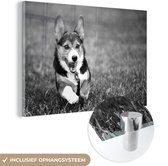 MuchoWow® Glasschilderij 90x60 cm - Schilderij acrylglas - Rennende hond - zwart wit - Foto op glas - Schilderijen