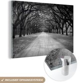 Peinture sur verre - Chemin sous les branches de chênes - noir et blanc - 120x80 cm - Peintures sur Verre Peintures - Photo sur Glas