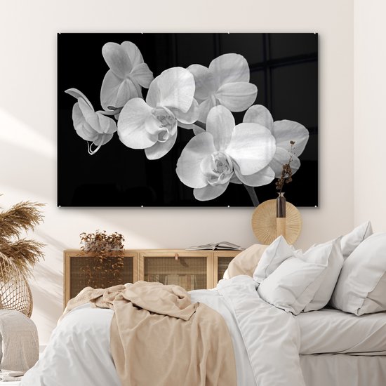 MuchoWow® Peinture sur Verre - Un gros plan d'orchidées sur fond noir - noir et blanc - 150x100 cm - Peintures sur Verre Acrylique - Photo sur Glas