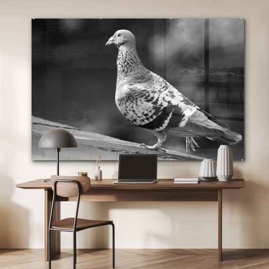 MuchoWow® Peinture sur Verre - Pigeon sur un toit - noir et blanc - 180x120 cm - Peintures sur Verre Acrylique - Photo sur Glas