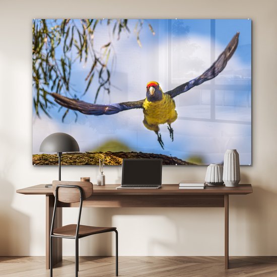 Une rosella vole dans les airs d'une manière fascinante Plexiglas 180x120 cm - Tirage photo sur Glas (Décoration murale plexiglas) XXL / Groot format!
