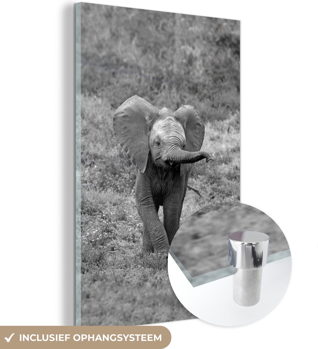® Glasschilderij 40x60 cm - Schilderij acrylglas - Afrikaanse baby olifant in het gras - Foto op glas - Muurdecoratie woonkamer - Wanddecoratie slaapkamer - Schilderijen