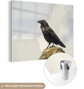 Un corbeau est à l'affût près d'un rocher Plexiglas 40x30 cm - petit - Tirage photo sur Glas (décoration murale plexiglas)