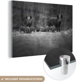 MuchoWow® Glasschilderij 30x20 cm - Schilderij acrylglas - Twee everzwijnen met jongen - zwart wit - Foto op glas - Schilderijen