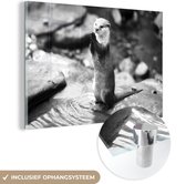 Peinture sur verre - Loutre debout - noir et blanc - 180x120 cm - Peintures sur Verre Peintures - Photo sur Glas