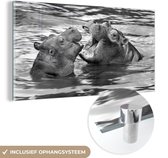 MuchoWow® Glasschilderij 160x80 cm - Schilderij acrylglas - Nijlpaarden in het water - zwart wit - Foto op glas - Schilderijen