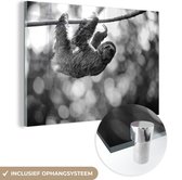 MuchoWow® Peinture sur verre 120x80 cm - Peinture sur verre acrylique - Paresseux grimpant à un arbre - noir et blanc - Photo sur verre - Peintures
