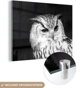 MuchoWow® Glasschilderij 120x90 cm - Schilderij acrylglas - Bruine uil geeft een knipoog - zwart wit - Foto op glas - Schilderijen