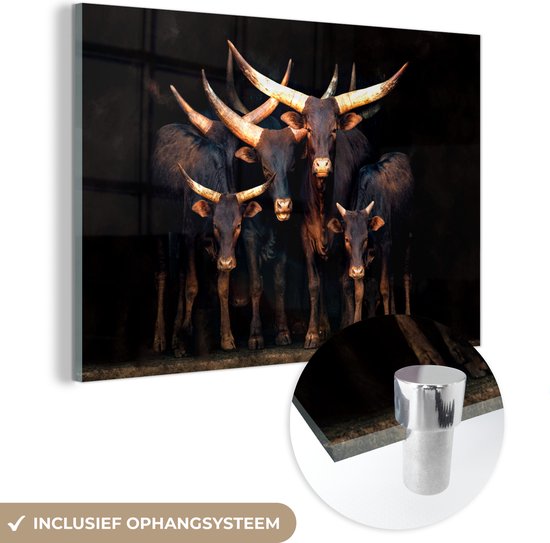 Glasschilderij - Koe - Watussie - Stier - Dieren - Hoorns - Zwart - 90x60 cm - Acrylglas Schilderijen - Foto op Glas