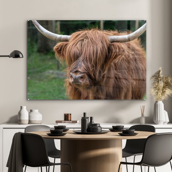 MuchoWow® Peinture sur Verre - Highlander écossais - Nature - Portrait - 90x60 cm - Peintures sur Verre Acrylique - Photo sur Glas