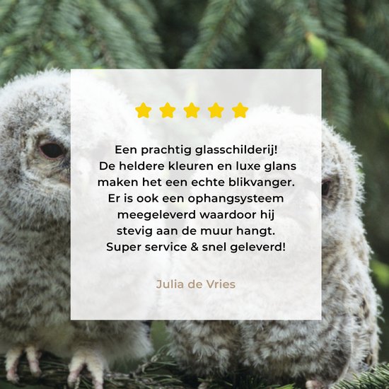 Deux poussins hiboux en Glas 90x60 cm - Tirage photo sur Glas (décoration murale en plexiglas)