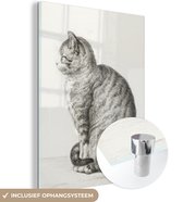 MuchoWow® Glasschilderij 90x120 cm - Schilderij acrylglas - Zittende kat - schilderij van Jean Bernard - Foto op glas - Schilderijen