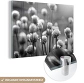 MuchoWow® Glasschilderij 180x120 cm - Schilderij acrylglas - Bieslook als bloeiende plant in de natuur - zwart wit - Foto op glas - Schilderijen