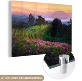 MuchoWow® Glasschilderij 150x100 cm - Schilderij acrylglas - Veld - Bloemen - Roze - Foto op glas - Schilderijen