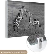 MuchoWow® Glasschilderij 120x90 cm - Schilderij acrylglas - Spelende zebras - zwart wit - Foto op glas - Schilderijen