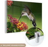 MuchoWow® Glasschilderij 90x60 cm - Schilderij acrylglas - Kolibrie - Bloem - Vogel - Foto op glas - Schilderijen
