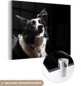 MuchoWow® Glasschilderij 40x30 cm - Schilderij acrylglas - Border collie op zwarte achtergrond - Foto op glas - Schilderijen