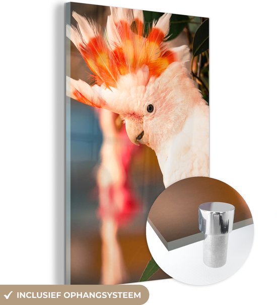 MuchoWow® Peinture sur verre 100x150 cm - Peinture sur verre acrylique - Un cacatoès blanc avec une crête colorée - Photo sur verre - Peintures