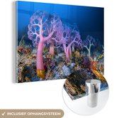 MuchoWow® Glasschilderij 90x60 cm - Schilderij acrylglas - Koraal onder water - Foto op glas - Schilderijen