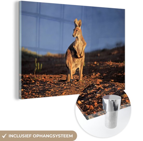 Glas Kangourou coucher de soleil 90x60 cm - Tirage photo sur Glas (décoration murale en plexiglas)