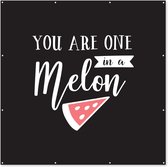Affiche de Jardin Proverbes - Citations - You are one in a melon - 200x200 cm - Toile jardin - Affiche extérieure
