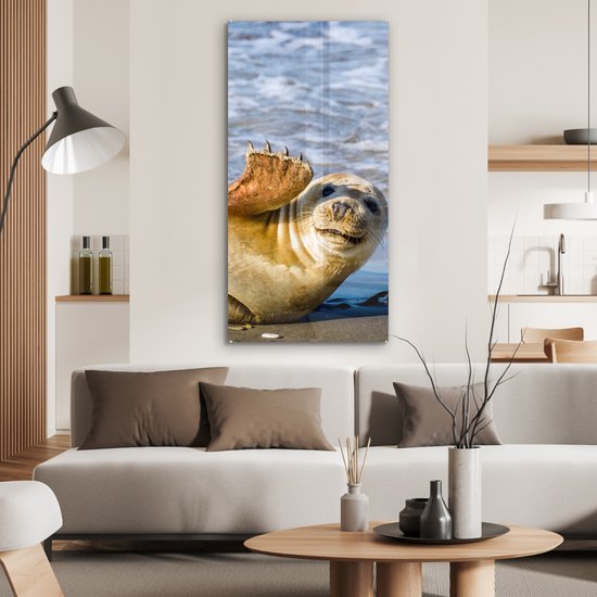 MuchoWow® Peinture sur Verre - Sceau - Drôle - Ondulation - 60x120 cm - Peintures sur Verre Peintures - Photo sur Glas