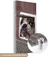 MuchoWow® Peinture sur Verre - Chien - Drôle - Chatière - Laisses pour chats cm - Peintures sur Verre Peintures - Photo sur Glas