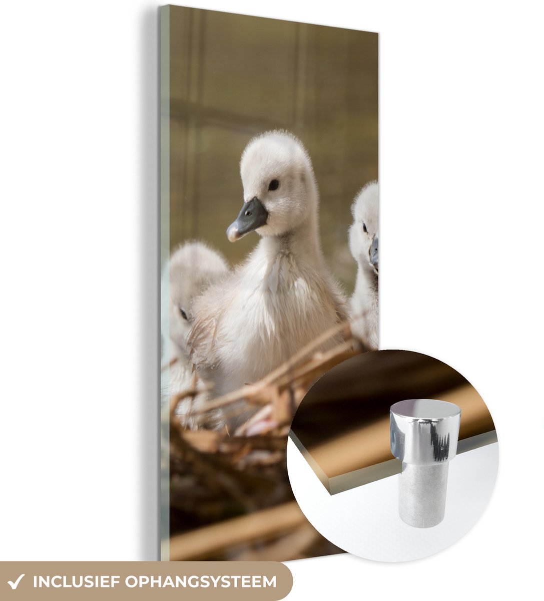 ® Glasschilderij 20x40 cm - Schilderij acrylglas - Nest - Zwaan - Baby - Foto op glas - Muurdecoratie woonkamer - Wanddecoratie slaapkamer - Schilderijen