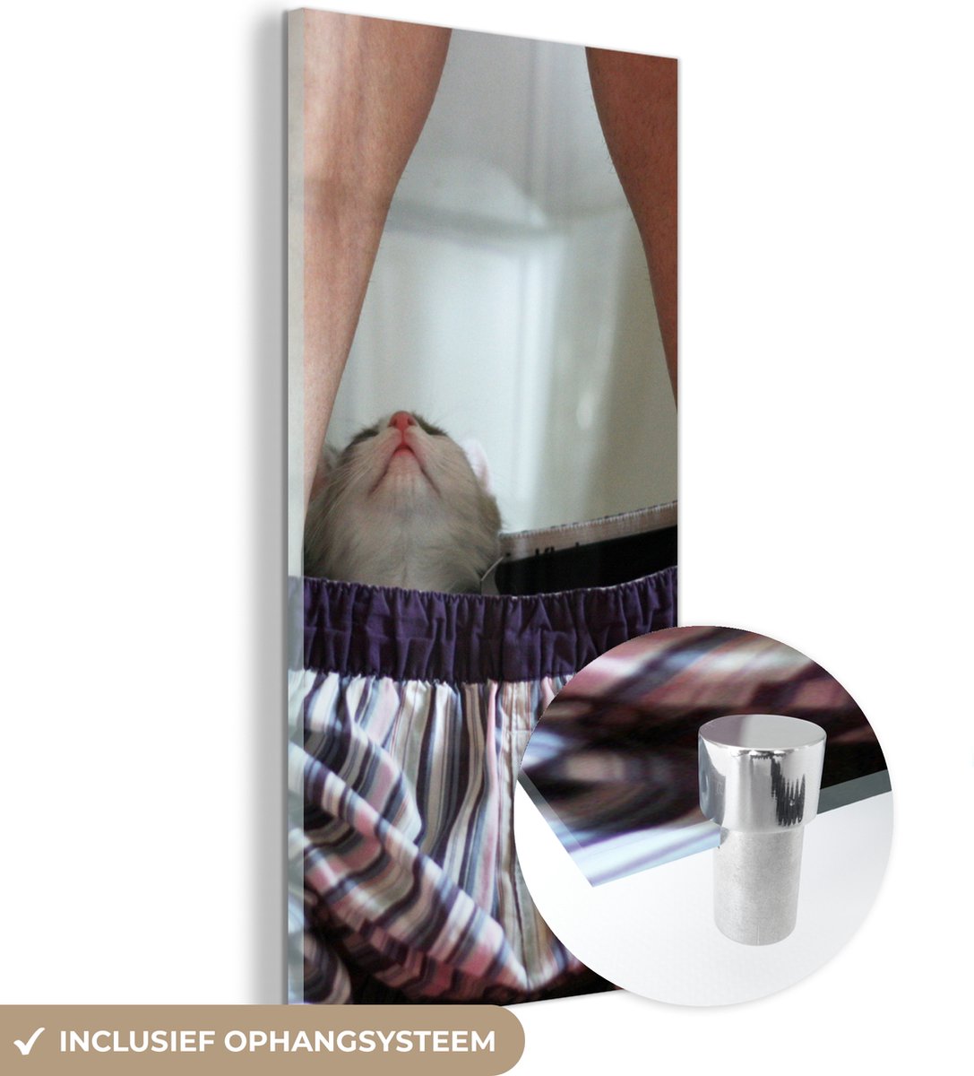 ® Glasschilderij 40x80 cm - Schilderij acrylglas - Kat - Broek - Toilet - Foto op glas - M