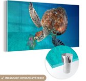 MuchoWow® Peinture sur verre 120x60 cm - Peinture sur verre - Tortue verte avec méduse - Photo sur verre acrylique - Peintures