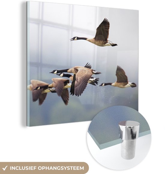 MuchoWow® Glasschilderij 90x90 cm - Schilderij acrylglas - Ganzen vliegen door de lucht in de mist - Foto op glas - Schilderijen