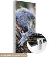 MuchoWow® Glasschilderij 80x160 cm - Schilderij acrylglas - Koala - Boomstam - Knuffel - Kids - Jongens - Meiden - Foto op glas - Schilderijen