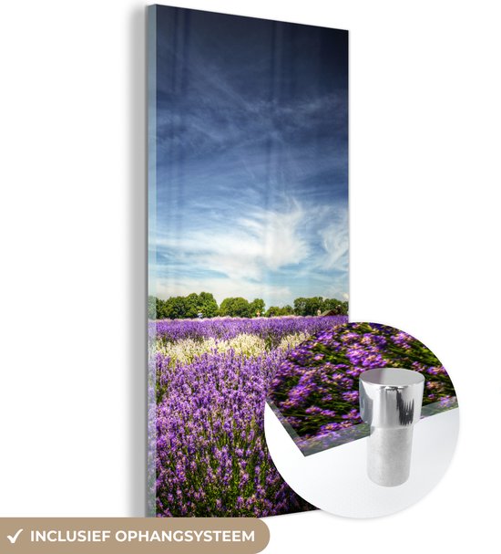 MuchoWow® Glasschilderij 40x80 cm - Schilderij acrylglas - Paarse en witte lavendel in bloem in veld - Foto op glas - Schilderijen
