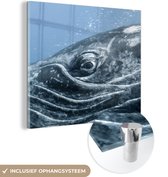 MuchoWow® Glasschilderij 50x50 cm - Schilderij acrylglas - Water - Dieren - Bultrug - Foto op glas - Schilderijen