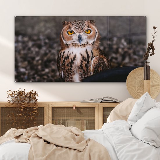 MuchoWow® Peinture sur verre - Chouette brune regardant directement dans l'appareil photo - 120x60 cm - Peintures sur verre acrylique - Photo sur Glas