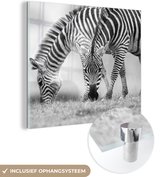 MuchoWow® Glasschilderij 90x90 cm - Schilderij acrylglas - Grazende zebra's - Foto op glas - Schilderijen