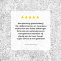 Afbeelding nummer  7
