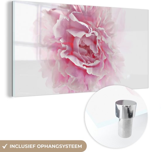 MuchoWow® Glasschilderij 80x40 cm - Schilderij acrylglas - Bovenaanzicht van een roze pioenroos met een witte achtergrond - Foto op glas - Schilderijen