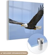 MuchoWow® Glasschilderij 90x90 cm - Schilderij acrylglas - Een vliegende Amerikaanse zeearend - Foto op glas - Schilderijen