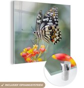 MuchoWow® Glasschilderij 90x90 cm - Schilderij acrylglas - Pages vlinder op bloem - Foto op glas - Schilderijen