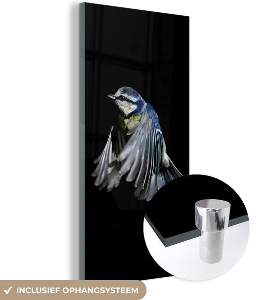 MuchoWow® Glasschilderij 80x160 cm - Schilderij acrylglas - Vogels - Veren - Zwart - Foto op glas - Schilderijen