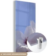MuchoWow® Glasschilderij 20x40 cm - Schilderij acrylglas - Bloesem - Bloemen - Lente - Foto op glas - Schilderijen