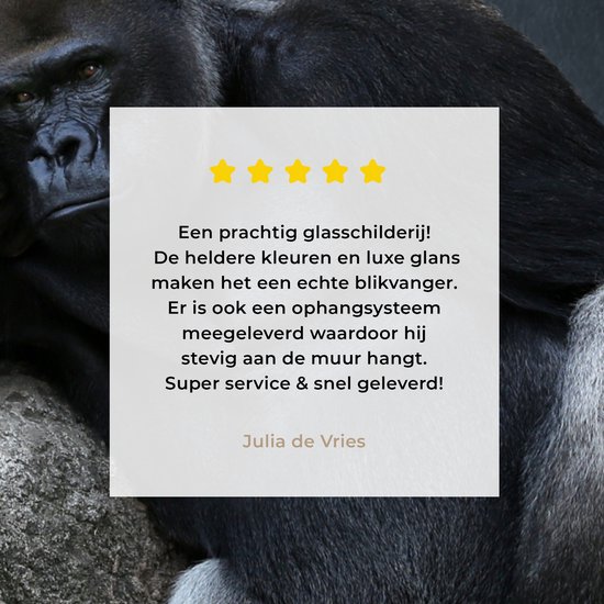 MuchoWow® Peinture sur verre 90x90 cm - Peinture sur verre acrylique - Un Gorilla se reposant sur une pierre - Photo sur verre - Peintures